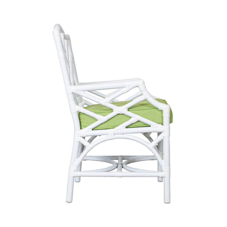 Ready To Ship - Chippendale Outdoor Dining Armchair in Sunbrella Macaw