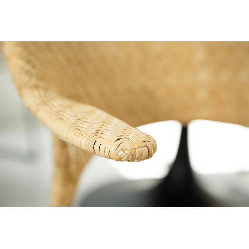 Quick Ship! Osaka Armchair-Dining Chairs-David Francis