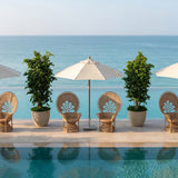 Isla Fan Chair