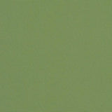 Sunbrella - Ginkgo-Fabric Sample-David Francis