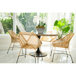 Baja Chair-Lounge Chairs-David Francis