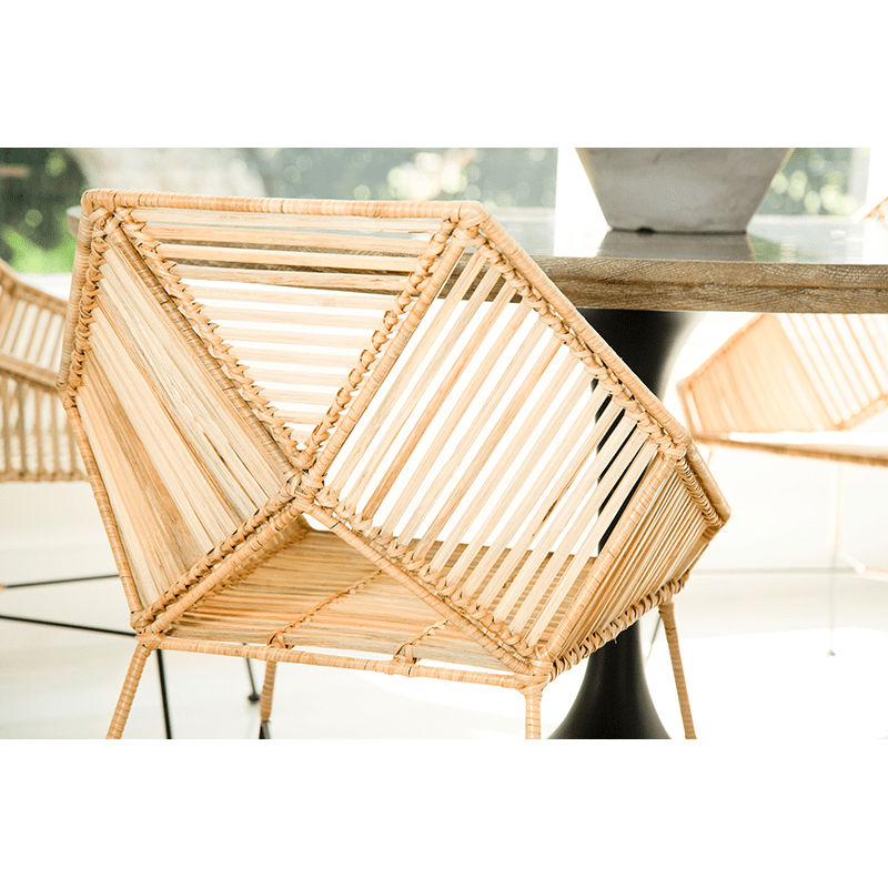 Baja Chair-Lounge Chairs-David Francis